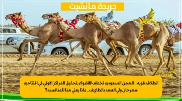 انطلاقة قوية.. الهجن السعودية تخطف الأضواء بتحقيق المراكز الأولى في افتتاحية مهرجان ولي العهد بالطائف.. ماذا يعني هذا للمنافسة؟ 1